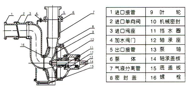 ZW型自吸式無堵塞排污泵（結(jié)構(gòu)圖）