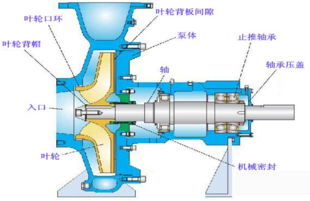 離心泵結構圖